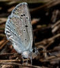 _A002690croofm.jpg